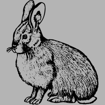 RABB007 Miniaturansicht