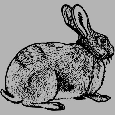 RABB008 Miniaturansicht