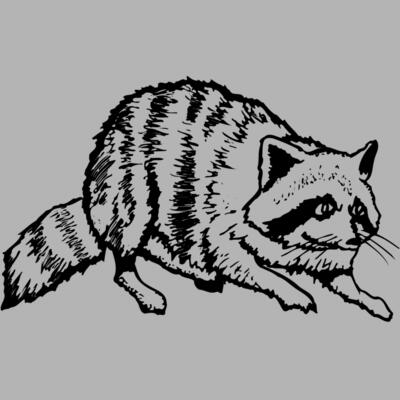 COON001 Miniaturansicht