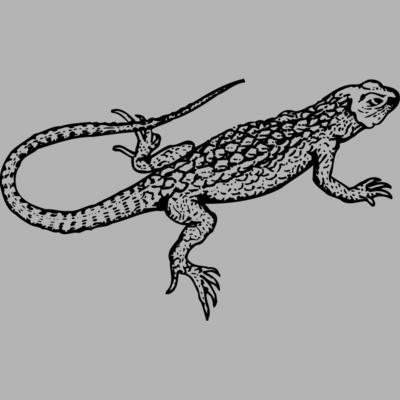 LIZARD01 Miniaturansicht