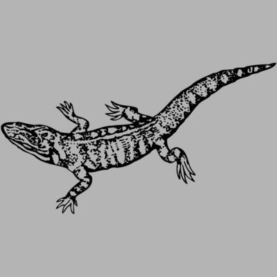 LIZARD02 Miniaturansicht