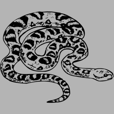 SNAKE001 Miniaturansicht