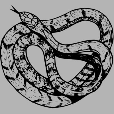 SNAKE003 Miniaturansicht