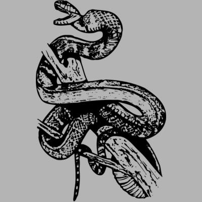 SNAKE008 Miniaturansicht