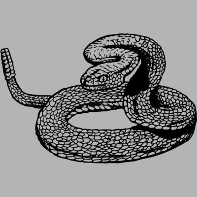 SNAKE012 Miniaturansicht