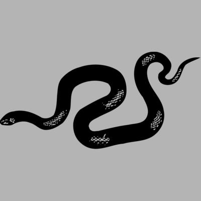 SNAKE013 Miniaturansicht