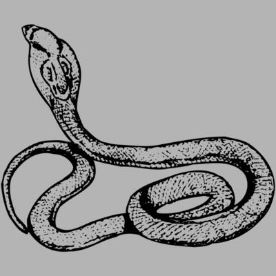 SNAKE014 Miniaturansicht