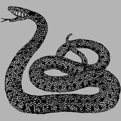 SNAKE015 Miniaturansicht