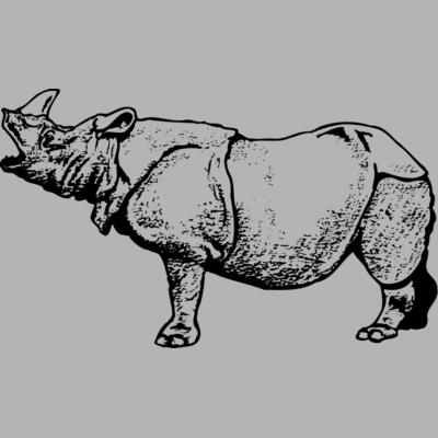 RHINO003 Miniaturansicht