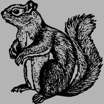 SQUER003 Miniaturansicht