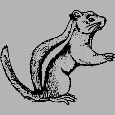 SQUER004 Miniaturansicht