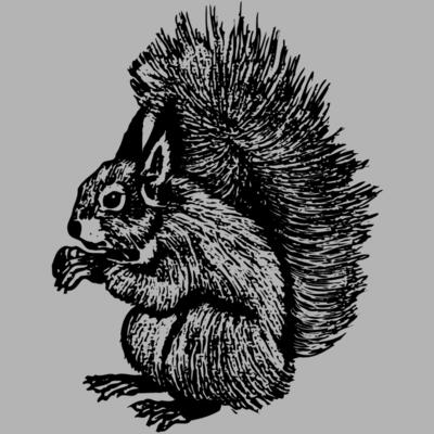 SQUER005 Miniaturansicht