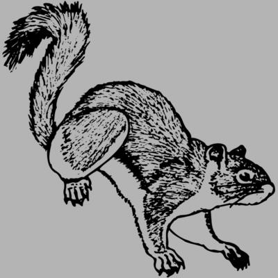 SQUER006 Miniaturansicht