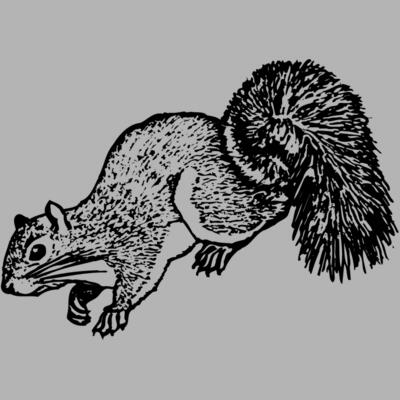 SQUER007 Miniaturansicht