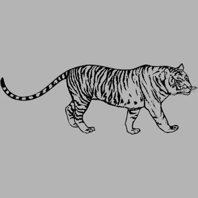 TIGER003 Thumbnail
