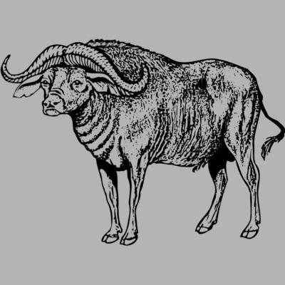 WBUFF002 Miniaturansicht