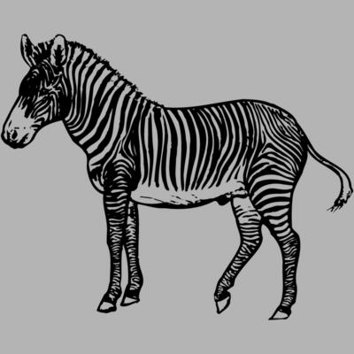 ZEBRA003 Miniaturansicht