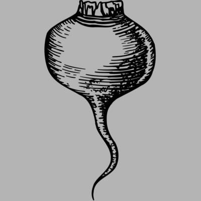 VEG002 Miniaturansicht