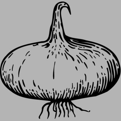 VEG004 Miniaturansicht