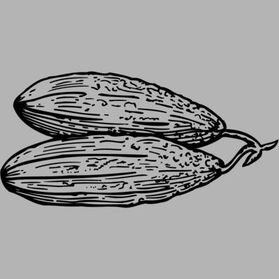 VEG005 Miniaturansicht