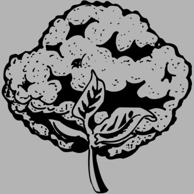 VEG021 Miniaturansicht