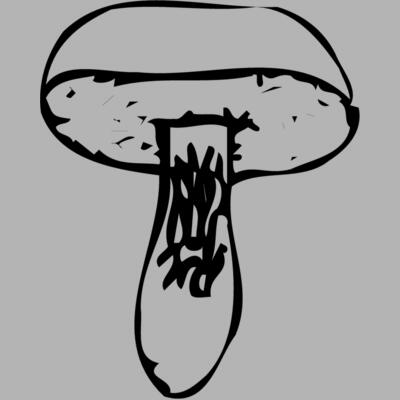 VEG028 Miniaturansicht