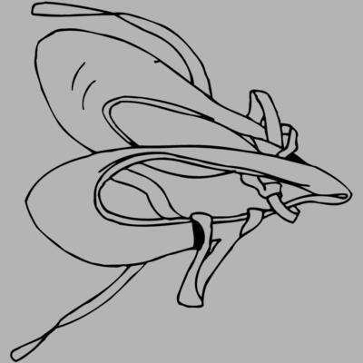 SHOE07 Miniaturansicht