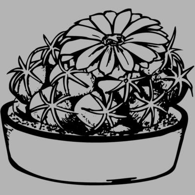 CACTUS02 Miniaturansicht