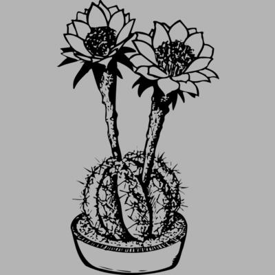 CACTUS03 Miniaturansicht