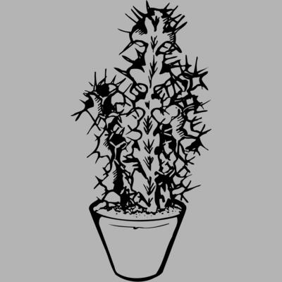 CACTUS04 Miniaturansicht
