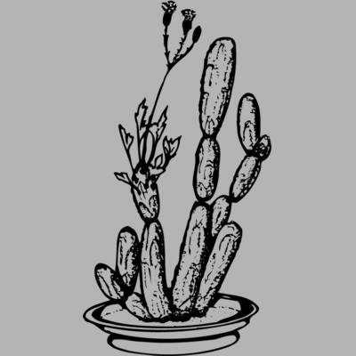 CACTUS08 Miniaturansicht