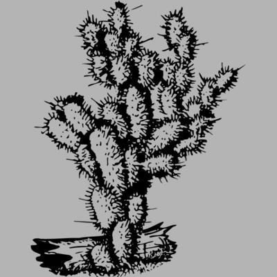CACTUS09 Miniaturansicht