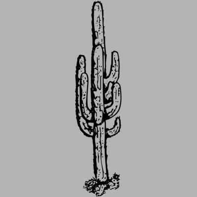 CACTUS12 Miniaturansicht