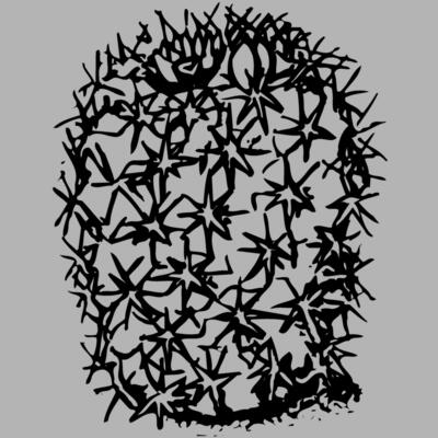 CACTUS15 Miniaturansicht