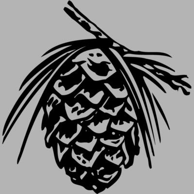 PCONE01 Miniaturansicht