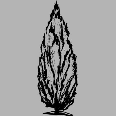 TREE0010 Miniaturansicht