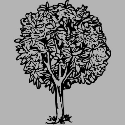 TREE0014 Miniaturansicht