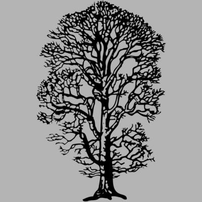 TREE0021 Miniaturansicht