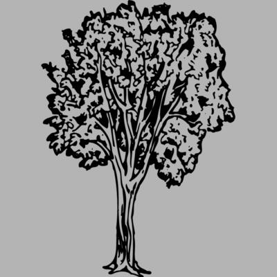 TREE0024 Miniaturansicht