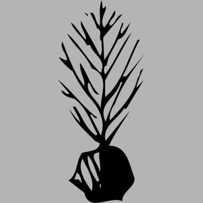 TREE0035 Miniaturansicht