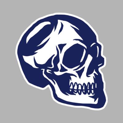 Elements Skulls logo template 139 Miniaturansicht