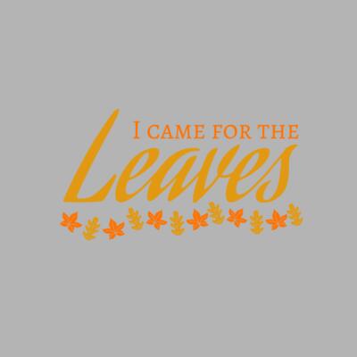 Fall Season 28 Thumbnail