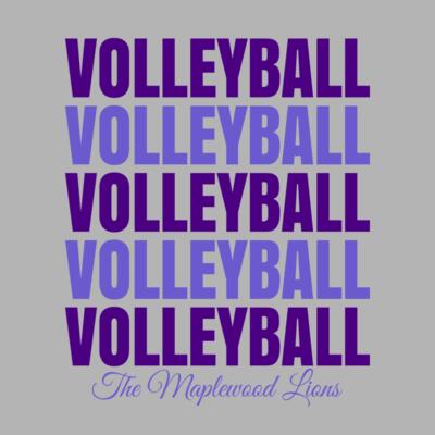 Volleyball 44 Miniaturansicht