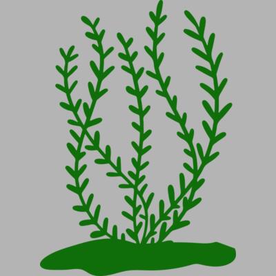 Sea Plants 3 Miniaturansicht