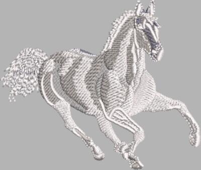 Pferd 10 Weiß