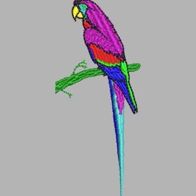 Ara 50 x 110 mm Miniaturansicht