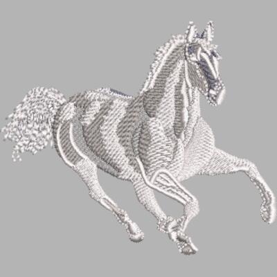 Pferd 10 Weiß Miniaturansicht