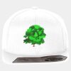 Flexfit 110 Fitted Snapback FX110 Miniaturansicht