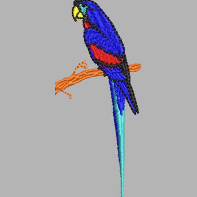 Tropische Vögel Miniaturansicht