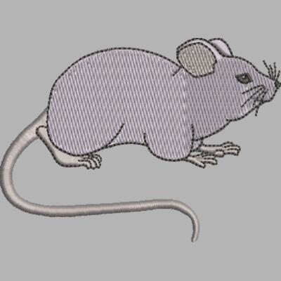 Mäuse Miniaturansicht